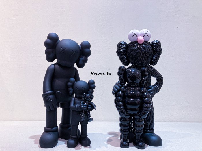 kaws family companion bff ddtstore bearbrick holiday 村上隆 小泉悟