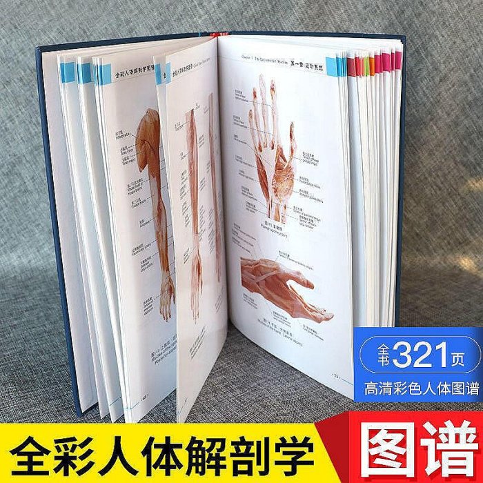 【現貨】中書 人體解剖學圖譜2023年全彩色高清圖譜學生臨床軍事學科技出版社