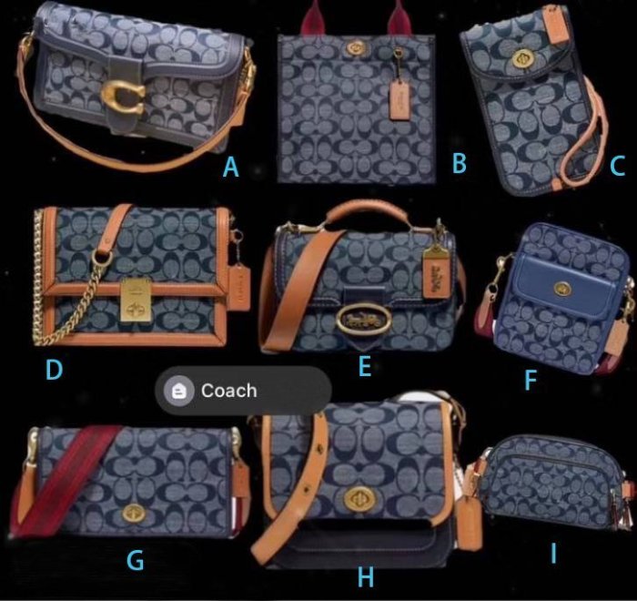 【King女王代購】美國正品COACH 3630 soft riley 香布雷chambray風琴郵差包斜跨包*附購證