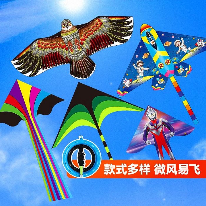 網紅風箏兒童微風易飛2024年濰坊新款大型高檔成大人草原專用飛機