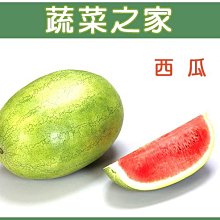 【蔬菜之家滿額免運00I01】大包裝.西瓜種子4克(約80顆)(蔬菜種子)※此商品運費請選宅配貨運※