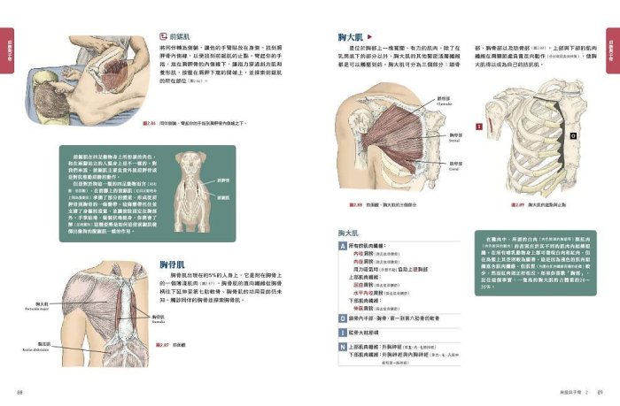 人體解剖全書(第3版/附DVD)│隨書附贈示範DVD，由作者親自帶領讀者探索