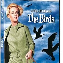 [藍光先生UHD] 鳥 UHD+BD 雙碟限定版 The Birds