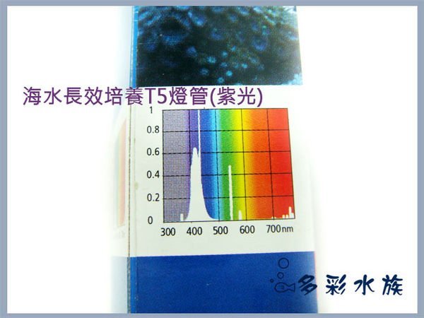 台北►►多彩水族◄◄英國Arcadia阿卡迪亞《 T5-海水長效培養燈管 / 39W》軟體.珊瑚培育