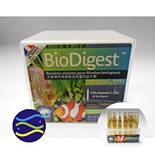 微笑的魚水族☆法國BIO Digest 50億活性硝化菌1盒】水晶蝦聖品/水草缸極品