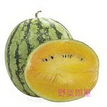 【野菜部屋~中包裝】R04 黃小玉西瓜種子70粒 , 新冠 , 肉色金黃細嫩 , 籽小且少 , 每包150元~