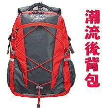 【葳爾登】long king休閒包登山包【超輕】透氣背墊後背包電腦包露營包人體工學背帶登山背包8728紅色