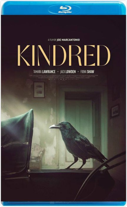 【藍光影片】親屬關係 / 鴉科 / Kindred (2020)