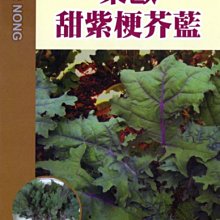 【野菜部屋~】H24 東歐甜紫梗芥藍種子30公克 , 葉片口感柔軟微甜 , 每包160元~
