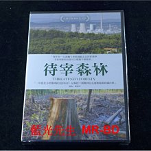 [DVD] - 待宰森林 Threatened Forests ( 台灣正版 )
