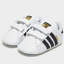 南◇現貨 ADIDAS SUPERSTAR CRIB 金標 魔鬼氈 學步鞋 小童 嬰兒 男女 S79916