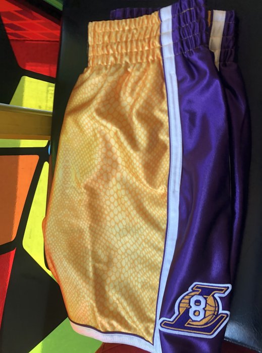 Mitchell & Ness "Kobe Bryant" 籃球名人堂 8/24 雙面紀念 球褲 (雙面穿)