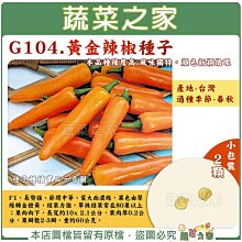 【蔬菜之家滿額免運】G104.黃金辣椒種子2顆 (F1) 長勢強、節間中等、葉大而濃綠  辣椒種子 辣椒 種子 園藝