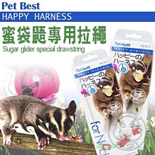 【🐱🐶培菓寵物48H出貨🐰🐹】PET BEST》PM-A315 蜜袋鼯專用拉繩顏色隨機 特價125元