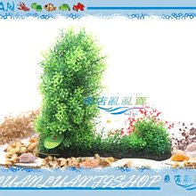 【~魚店亂亂賣~】造景飾品2122大型-超逼真海藻草(假水草)仿真水草.擬真水草(免CO2一樣翠綠)