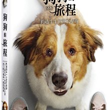 [DVD] - 狗狗的旅程 A Dog s Journey  ( 傳訊正版 )