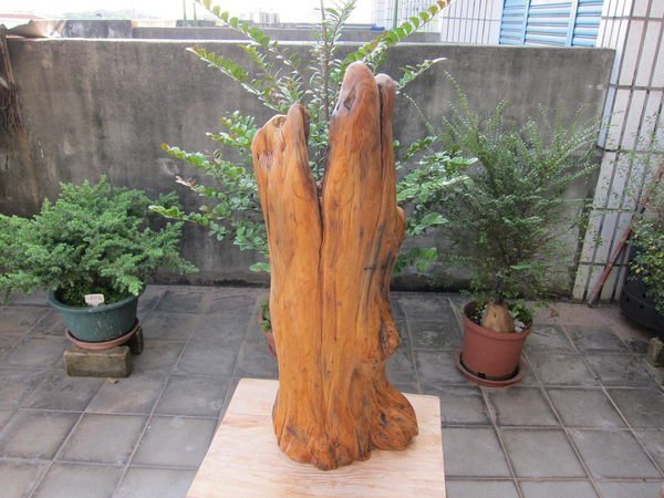 [巧豐]奇木 風化木 天雕 蟲雕 造型香杉 自然抽象 裝置藝術擺件 收藏品(編號:144)