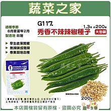 【蔬菜之家滿額免運】大包裝G117.秀香不辣辣椒種子1.3克(約200顆)早生，皮薄質嫩，無辣味或微辣 專業栽培品種※不適用郵寄掛號配送