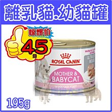 *貓狗大王* Royal Canin FHNW 皇家離乳貓與母貓專用濕糧BC34W 195克 幼貓罐頭 貓罐頭