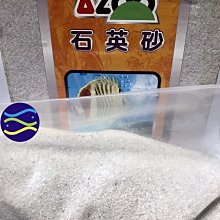 微笑的魚水族☆AZOO-愛族【石英砂1kg】適用於淡水缸及海水缸