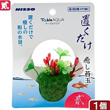 微笑的魚水族☆日本NISSO【療育 前景草藻球-貳】鬥魚 睡蓮 浮萍 產卵 稻田魚 躲藏 假水草N-NAP-571