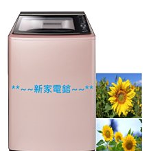*~新家電錧~*【SAMPO聲寶】 [ ES-L19DP(R1) ] 玫瑰金19公斤單槽變頻洗衣機 【實體店面 】