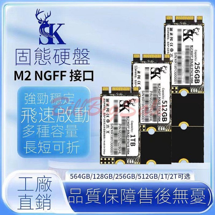 512GB (M.2 NGFF SATA SSD)全新5年保固 512G 2242 2260 2280 固態硬碟