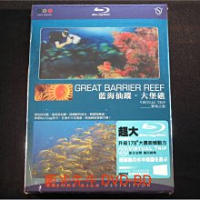 [藍光先生BD] 藍海仙蹤 : 大堡礁 Great Barrier Reef ( 日本高清畫質製作 - 台灣發行 )