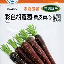 商品縮圖-1