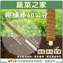 【蔬菜之家滿額免運】椰纖棒 60公分(塑膠中柱防霉)攀爬類植物.水苔棒.椰纖柱.椰棒