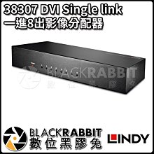 數位黑膠兔【 LINDY 林帝 38307 DVI Single link 一進8出影像分配器 】