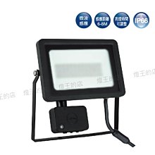 【燈王的店】舞光 LED 20W 微波感應泛光燈 投射燈 投光燈 全電壓 白光 / 黃光 OD-SEFL20