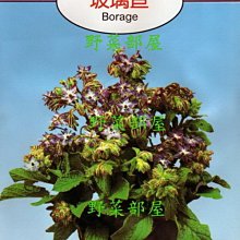 【野菜部屋~】S03 琉璃苣Borage~天星牌原包裝種子~每包17元~