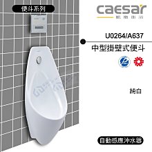 附發票 含稅 CAESAR凱撒 中型掛壁式便斗U0264/A637 純白《中部免運》【東益氏】