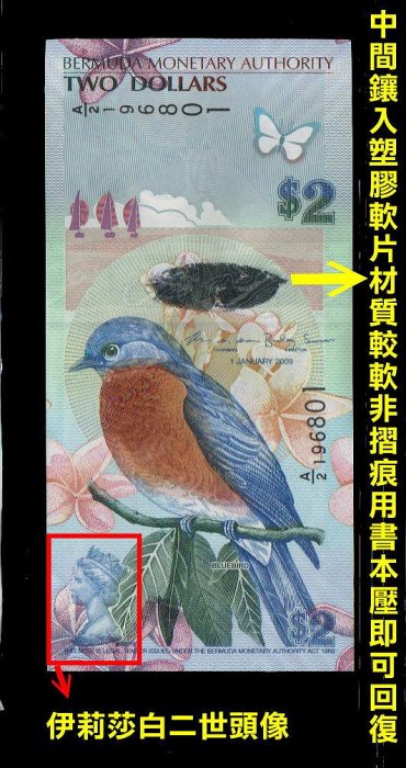 【低價外鈔】百慕達2009年2Dollars 紙鈔一枚(A/2字軌新版簽名) 伊莉莎白二世 海王星尼普頓 東藍鳥圖案~