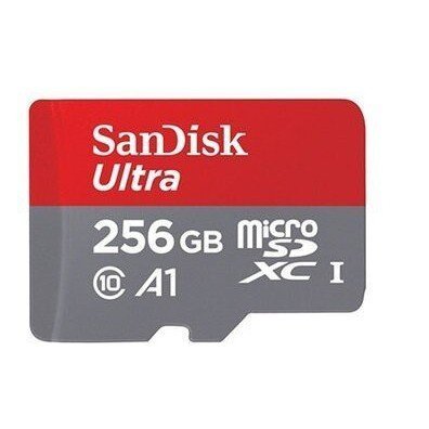 Switch NS 周邊 SanDisk 256GB 256G 記憶卡 Micro SD 台灣原廠公司貨【台中大眾電玩】