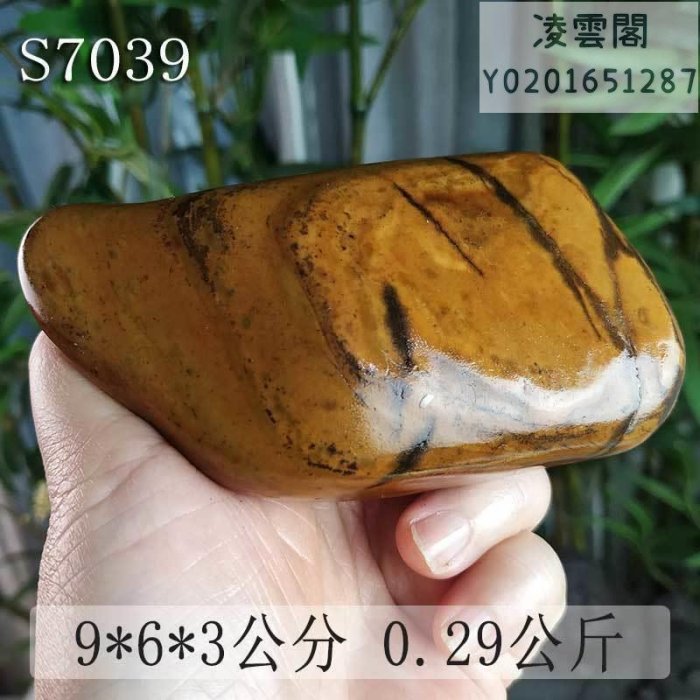 【奇石 雅石】精美大灣石大化石寶磬天然小品石柳州特產奇石S135石把件一件凌雲閣雅石