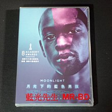 [DVD] - 月光下的藍色男孩 Moonlight (傳影正版)