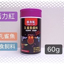 微笑的魚水族☆活力紅【孔雀魚飼料60g】含豐富的綜合維生素與礦物質！