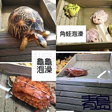 商品縮圖-4