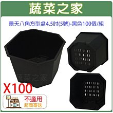 【蔬菜之家滿額免運】景天八角方型盆4.5吋(5號)-黑色100個/組