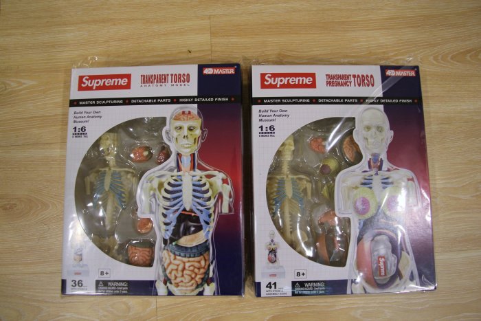 現貨全新Supreme Anatomy Model 人體解剖模型(一組另有優惠) 類KAWS 半