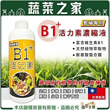 【蔬菜之家滿額免運】B1+活力素濃縮液500ML 植物活力素 天然植物萃取 根系生長使用 扦插 嫁接 分株 壓條 定植