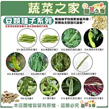 【蔬菜之家滿額免運】豆類種子系列(各包裝數量詳見內文及圖片)敏豆 四季豆 豌豆 圓粉豆 豇豆 毛豆 蠶豆 皇帝豆 大莢豆