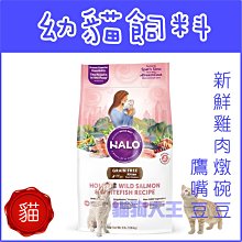 **貓狗大王**HALO嘿囉《幼貓無榖鮭魚 燉食》3磅/包