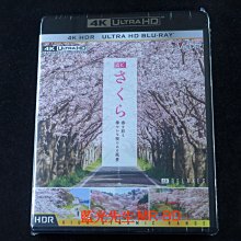 [4K-UHD藍光BD] - 春を彩る 華やかな桜のある風景 UHD 版