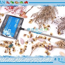 【~魚店亂亂賣~】 台灣UP雅柏PRO-NET高級伸縮魚網5吋細網黑色(可隨意調整長度)