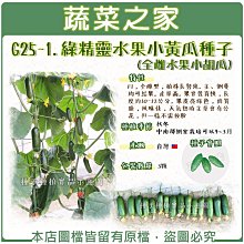 【蔬菜之家滿額免運】G25-1.綠精靈水果小黃瓜種子3顆(全雌水果小胡瓜)//F1，全雌型，植株長勢強。主、側蔓均可結果。產量高。果實發育快