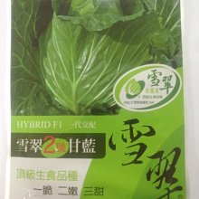 【野菜部屋~原包裝種子】雪翠高麗菜種子1000顆 , 每包1800元~ ,脆 ,嫩 甜 ,頂級生食品種 ,長勢旺~