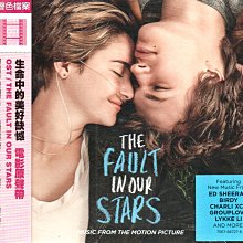 金卡價134 The Fault In Our Stars 生命中的美好缺憾 原聲帶 589900017458 再生工場02